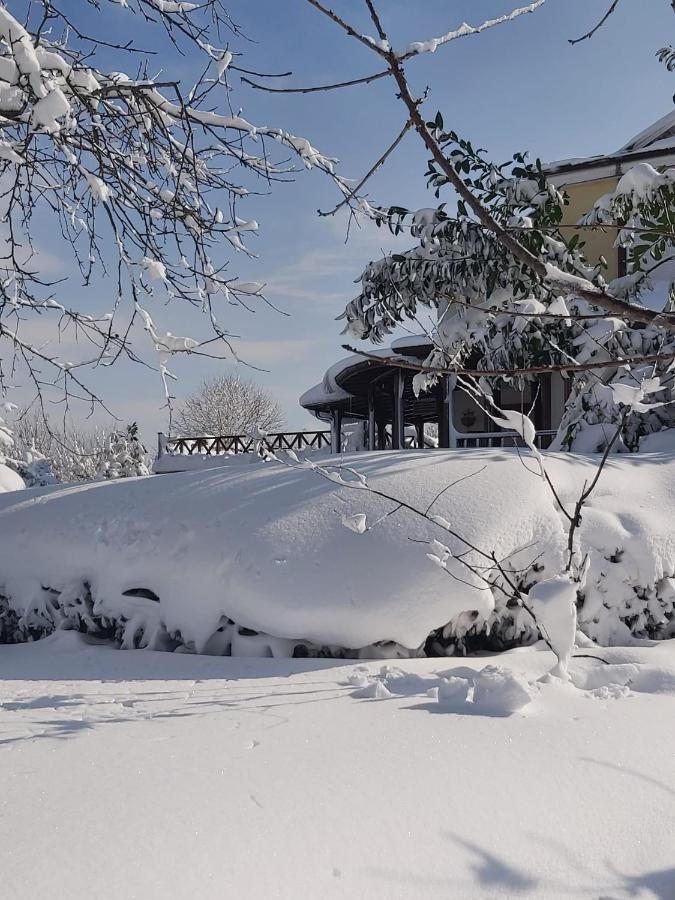 Bizim Ev Villa Sapanca Dış mekan fotoğraf