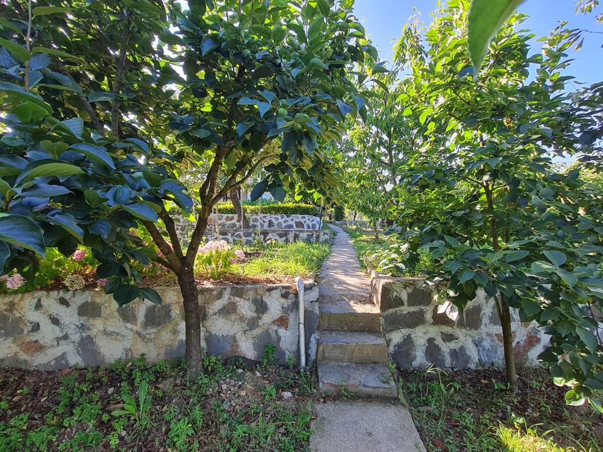 Bizim Ev Villa Sapanca Dış mekan fotoğraf