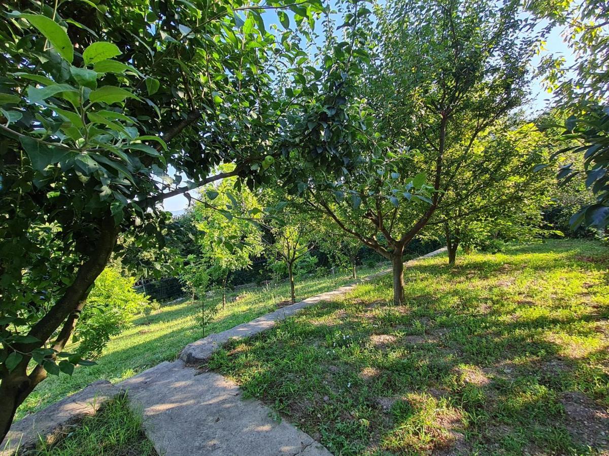 Bizim Ev Villa Sapanca Dış mekan fotoğraf