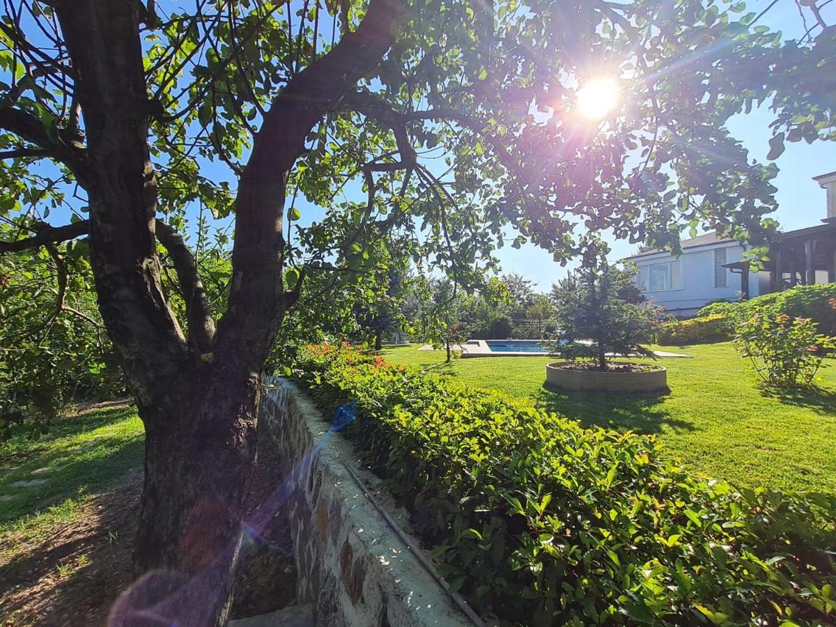 Bizim Ev Villa Sapanca Dış mekan fotoğraf
